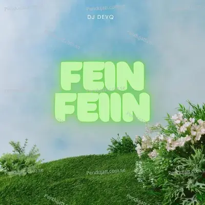 Fein Feiin - DJ DevQ album cover 