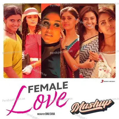 Female Love Mashup - Binu Shiva album cover 