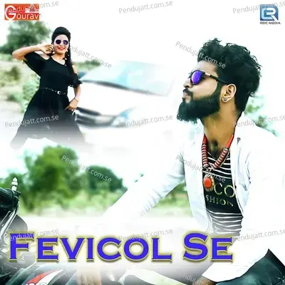 Fevicol Se - Shambhu Meena album cover 