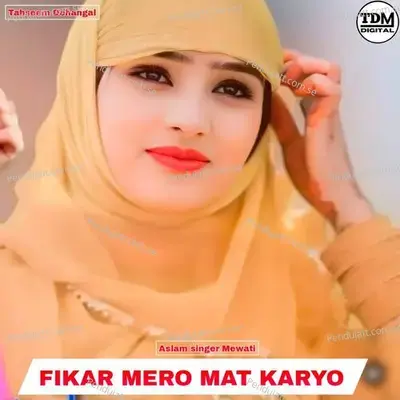 Fikar Mero Mat Karyo - Aslam Singer Mewati album cover 