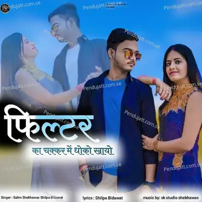 Filter Ka Chhakar Mai Dhoko Khayo - Salim Shekhawas album cover 