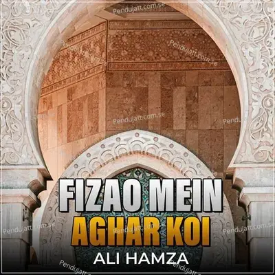 Fizao Mein Aghar Koi - Ali Hamza album cover 