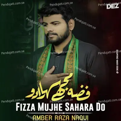 Fizza Mujhe Sahara Do - Amber Raza Naqvi album cover 