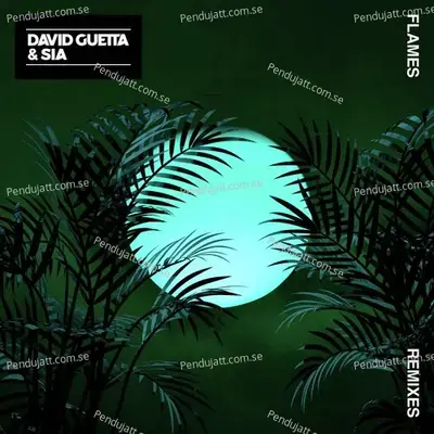 Flames  Remixes  - David Guetta cover album