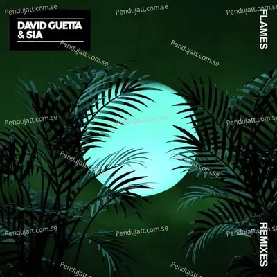 Flames  Remixes Ep  - David Guetta cover album