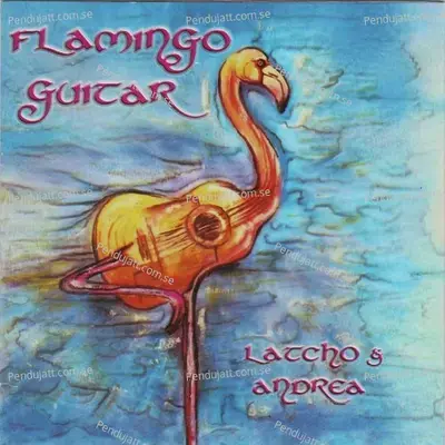 Flamingo Guitar - Andrea cover album