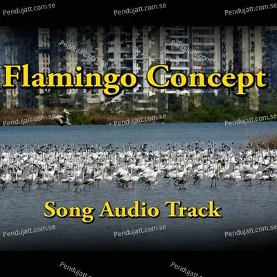 Flamingo Concept - Twisha Palav album cover 