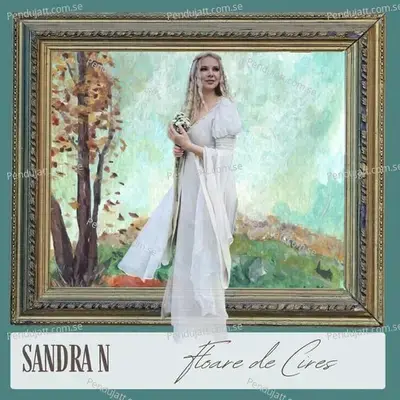 Floare De Cire - Sandra N. album cover 