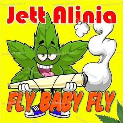 Fly Baby Fly - Jett Alinia album cover 