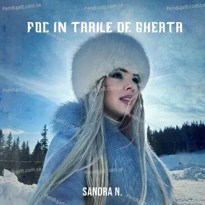 Foc   n     rile De Ghea - Sandra N. album cover 