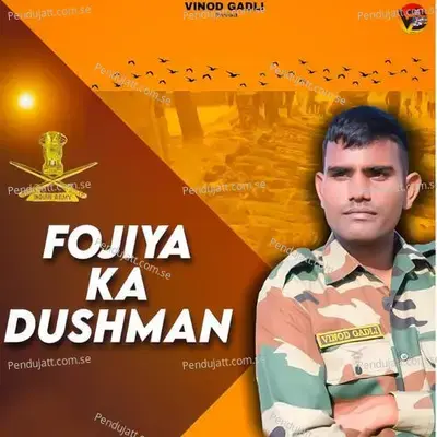 Fojiya Ka Dushman - Vinod Gadli album cover 