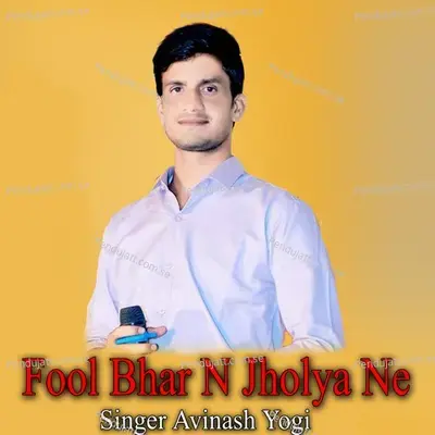 Fool Bhar N Jholya Ne - Avinash Yogi album cover 