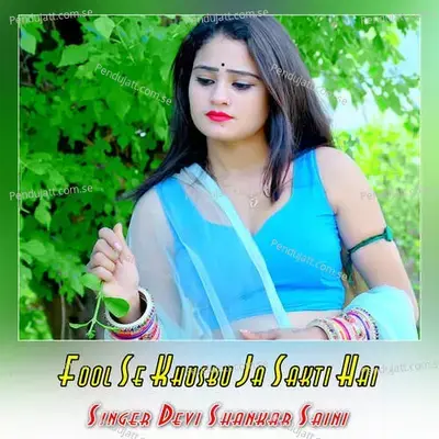 Fool Se Khusbu Ja Sakti Hai - Devi Shankar Saini album cover 