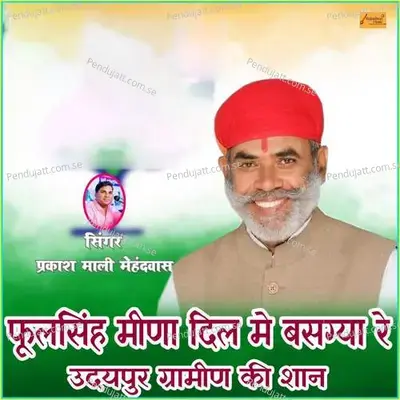 Foolsingh Meena Dil Me Basgya Re Udaypur Gramin Ki Shan - Prakash Mali Mehandwas album cover 