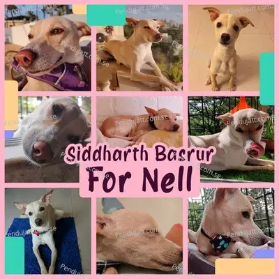 For Nell - Siddharth Basrur album cover 