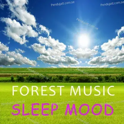 Forest Music Sleep Mood - Lakhan Hire album cover 