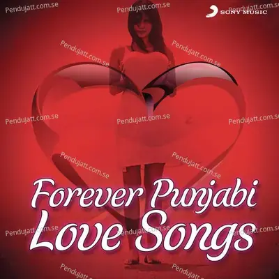 Forever Punjabi Love Songs - Various Artists