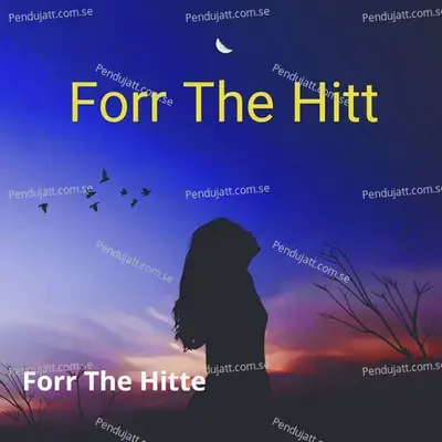 Forr The Hitte - Debasis Payra album cover 