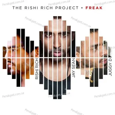 Freak - Rishi Rich Project album cover 