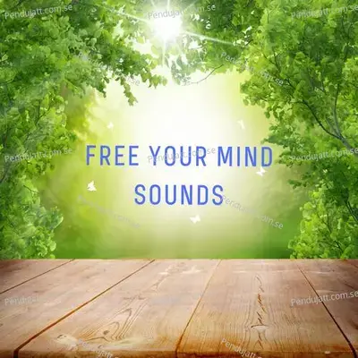 Free Your Mind Sounds - Lakhan Hire album cover 
