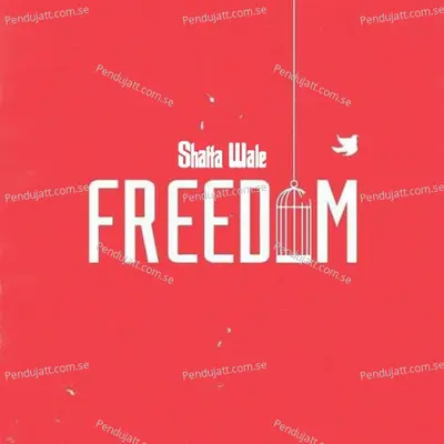 Freedom - Shatta Wale album cover 