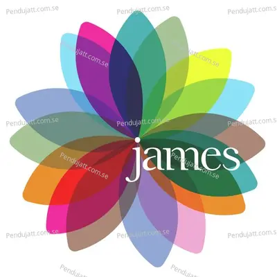 I Know What Im Here For - James album cover 