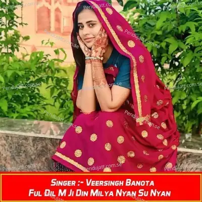 Ful Dil M Ji Din Milya Nyan Su Nyan - Veersingh Banota album cover 
