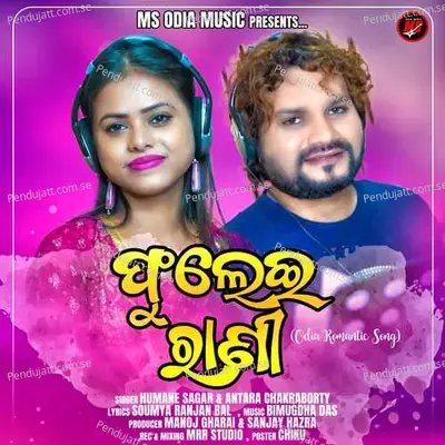 Fulei Rani - Humane Sagar album cover 