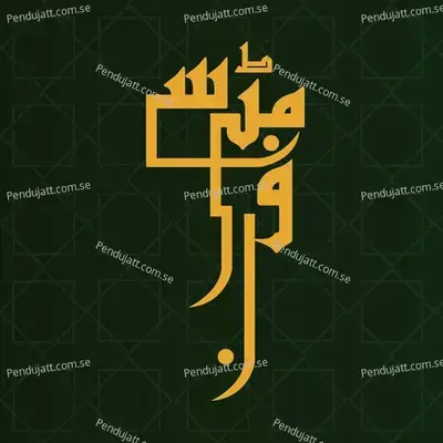 Funn Mitti Se - Shuja Haider album cover 