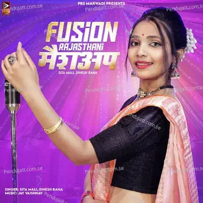 Fusion Rajasthani Mashup - Sita Mali album cover 