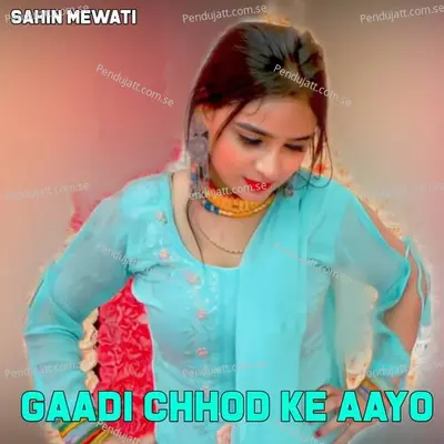 Gaadi Chhod Ke Aayo - Sahin Mewati album cover 