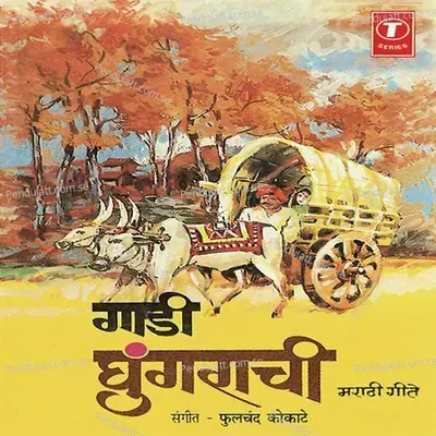 Radha Manjh Naav - Phoolchand Kokate album cover 