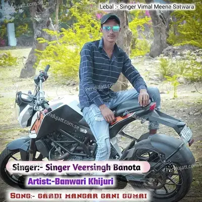 Gaadi Mangar Gani Gumai - Veersingh Banota album cover 