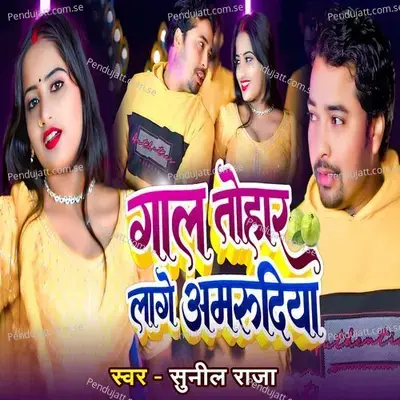 Gaal Tohar Laage Amrudiya - Sunil Raja