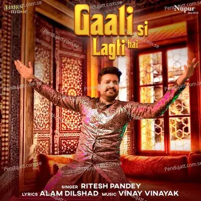 Gaali Si Lagti Hai - Ritesh Pandey album cover 