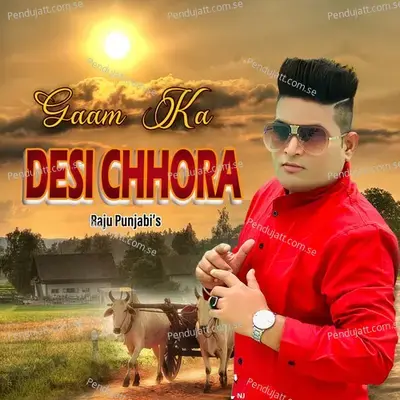 Gaam Ka Desi Chhora - Raju Punjabi album cover 