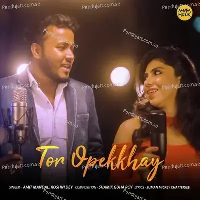 Tor Opekkhay - Amit Mandal album cover 