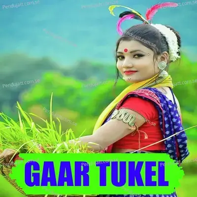 Gaar Tukel - Harendra Jagat album cover 