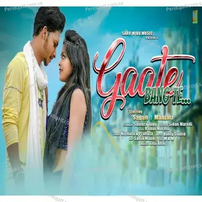 Gaate Bang Te - Prafulla album cover 