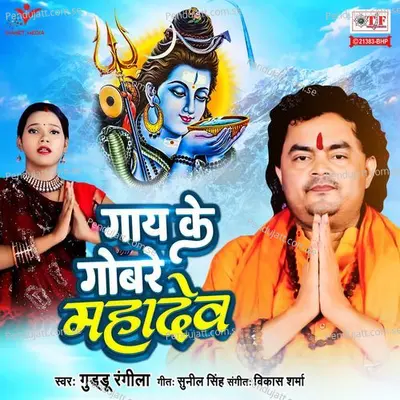 Gaay Ke Gobare Mahadev - Guddu Rangila album cover 