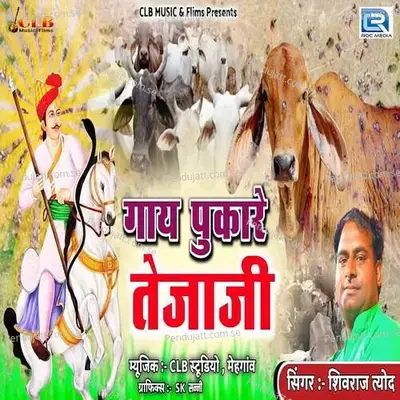 Gaay Pukare Re Tejaji - Shivraj Tyod album cover 