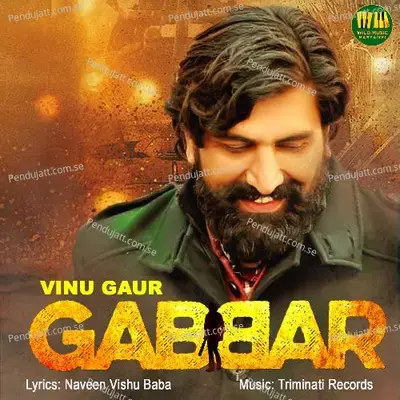 Gabbar - Vinu Gaur album cover 