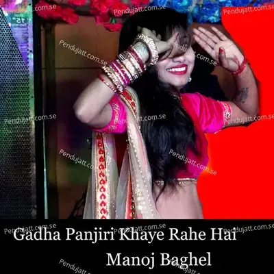 Gadha Panjiri Khaye Rahe Hai - Manoj Baghel album cover 