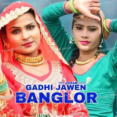 Gadhi Jawen Banglor - Wasim Akram Alwar album cover 