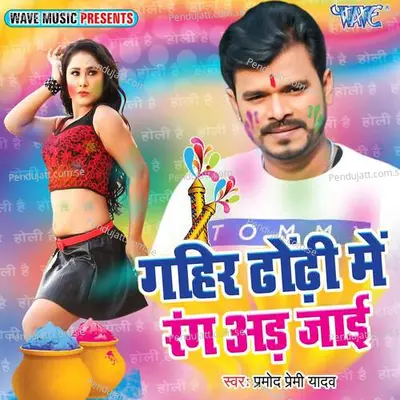 Gahir Dhodhi Me Rang Ad Jayi - Arya Sharma