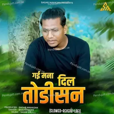 Gai Mana Dil Todisan - Bhaiya More album cover 