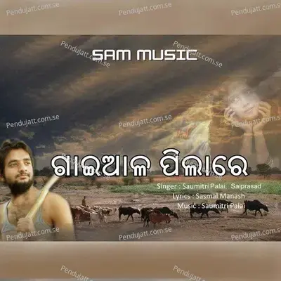 Gaiala Pila Re - Saumitri Palai album cover 