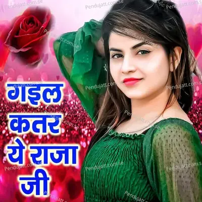 Gail Katar Ye Raja Ji - Dhamu Dhmal album cover 