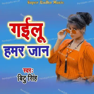 Gailu Hamar Jan - Bitu Singh album cover 