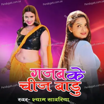 Gajab Ke Chij Badu - Shyam Sawariya album cover 